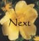 Next